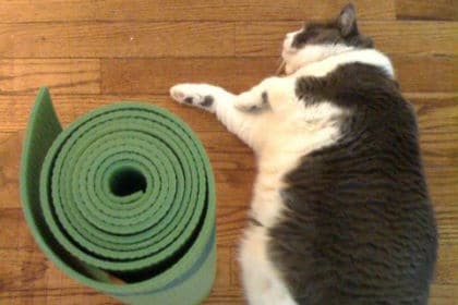 Vybavení a pomůcky na jógu